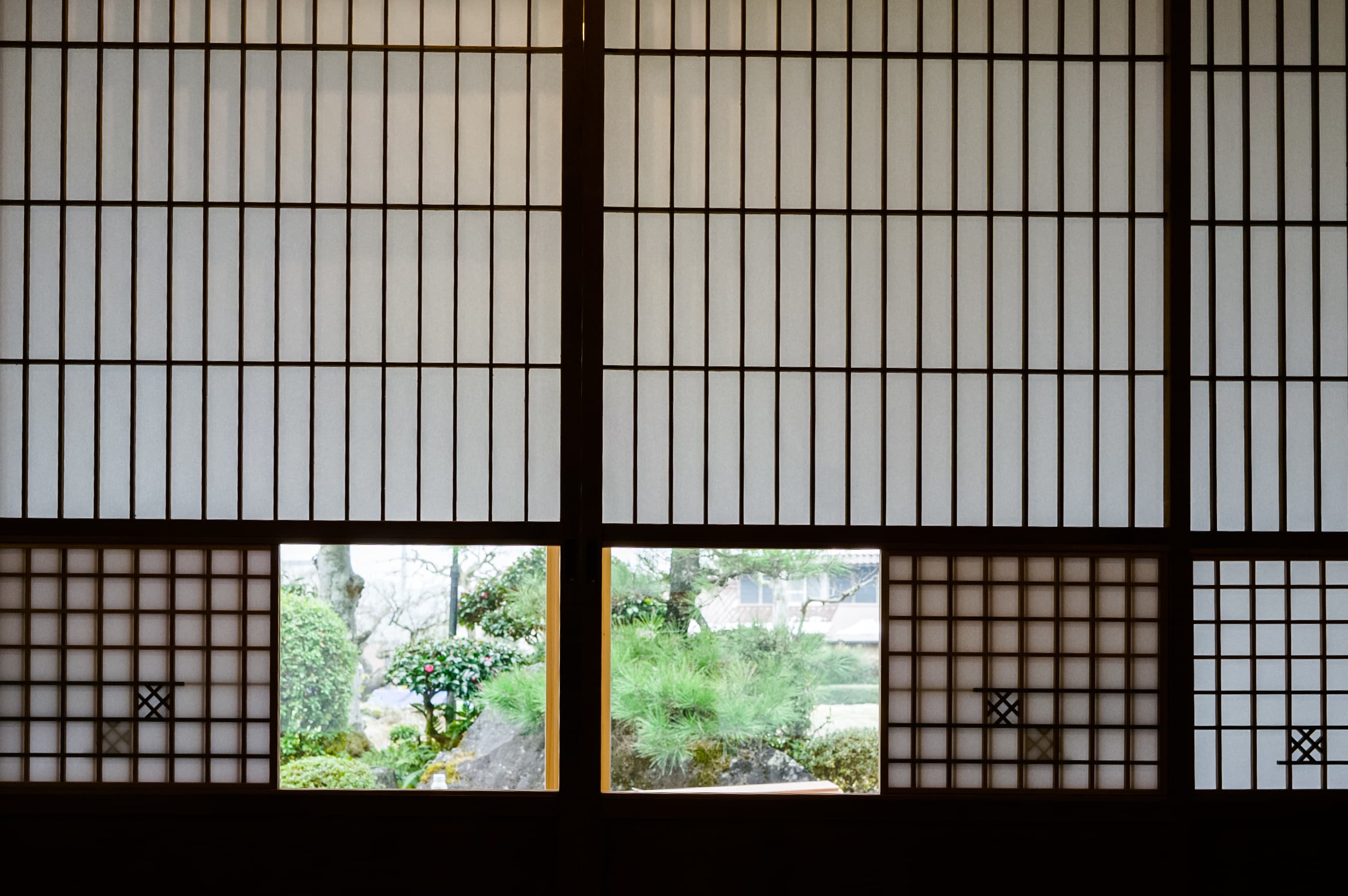 sdim1187.jpg